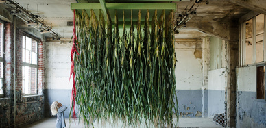 Kunstwerk hängt von der Decke