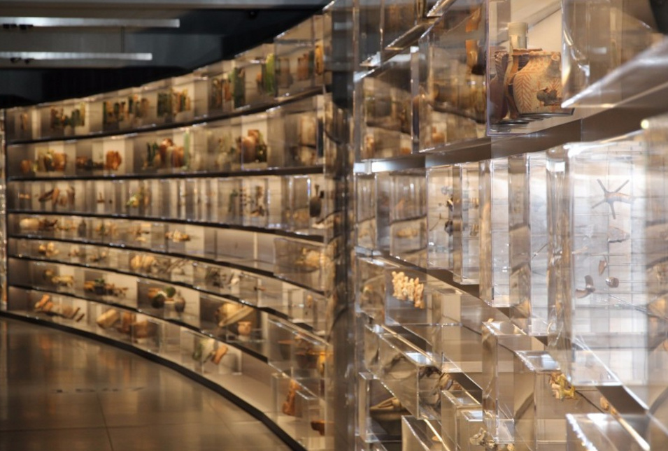 Glasvitrine voller Fundstücke
