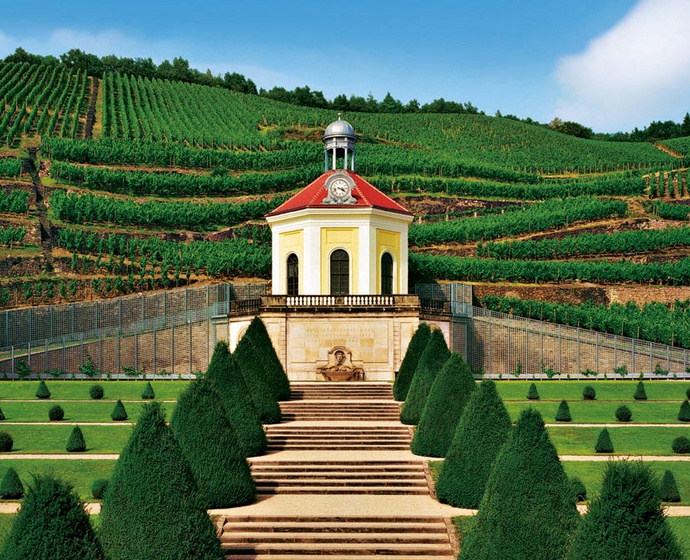 [Translate to Englisch:] Das Belvedere und die Weinberge hinter Schloss Wackerbarth