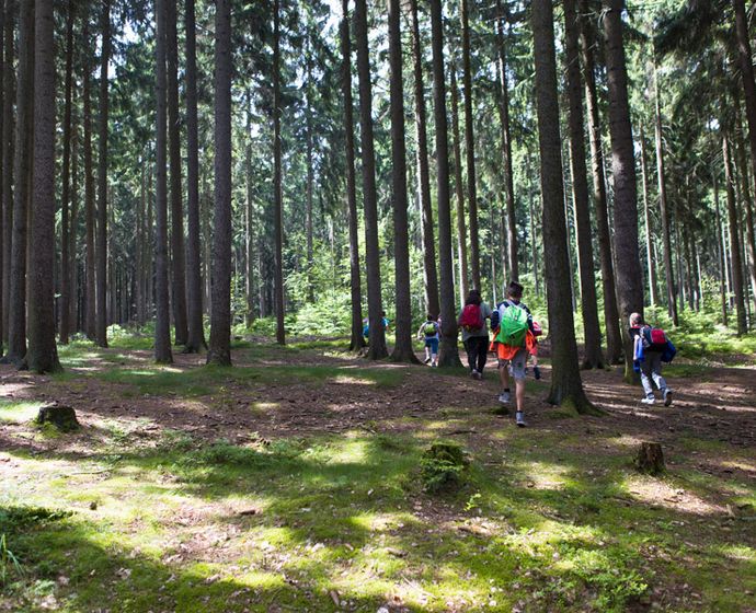 Eine Gruppe Wanderer im Wald