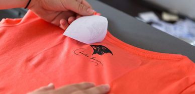 Darwin-Motiv mit Finken im Nacken eines T-Shirts