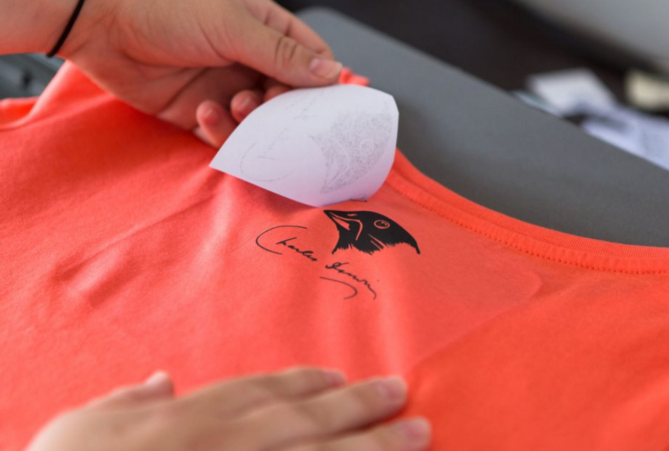 Darwin-Motiv mit Finken im Nacken eines T-Shirts